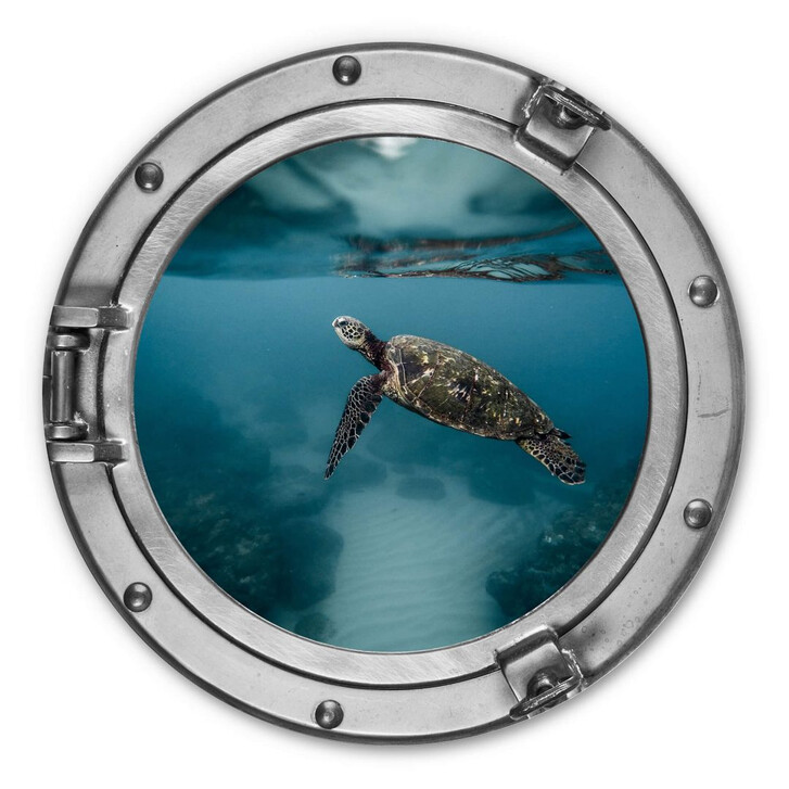 Alu-Dibond 3D-Optik Bullauge - Schildkröte seitlich - Rund - WA290738