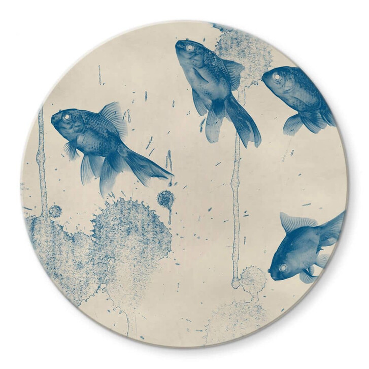 Glasbild Blaue Fische - Rund - WA332067