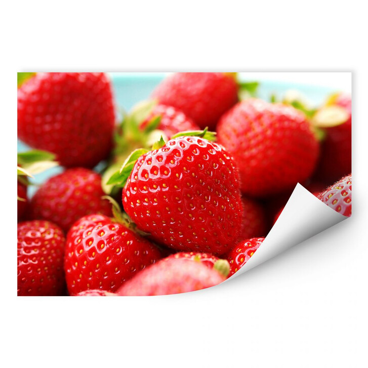 Wallprint Erdbeeren aus dem Garten - WA183496
