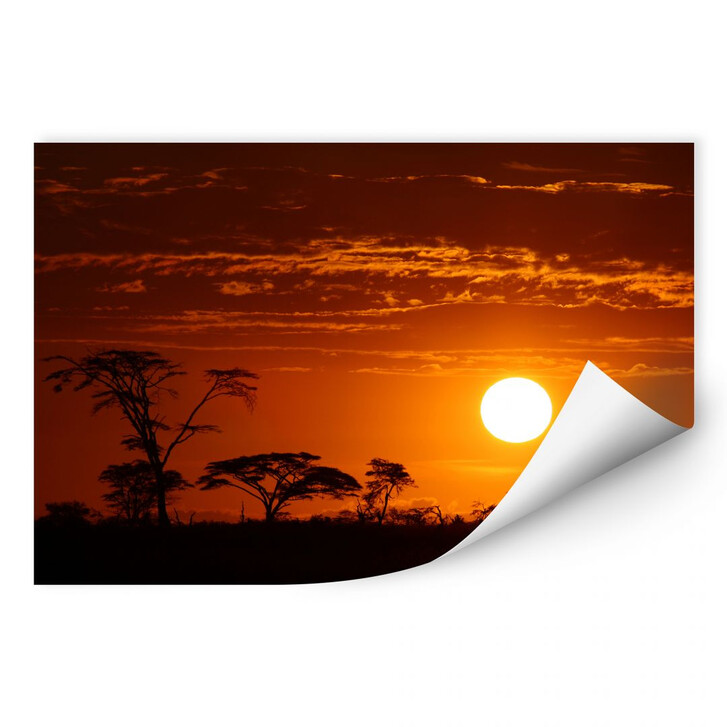 Wallprint Afrikanische Steppe - WA181097