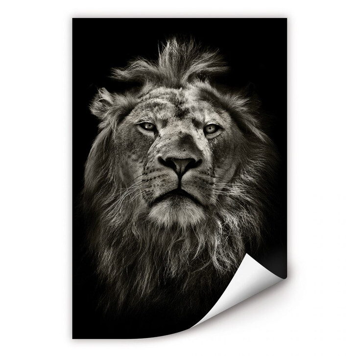 Wallprint Lion - WA185891