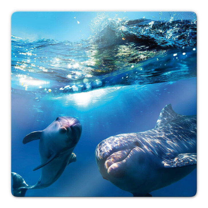 Glasbild Dolphins Underwater - WA122330