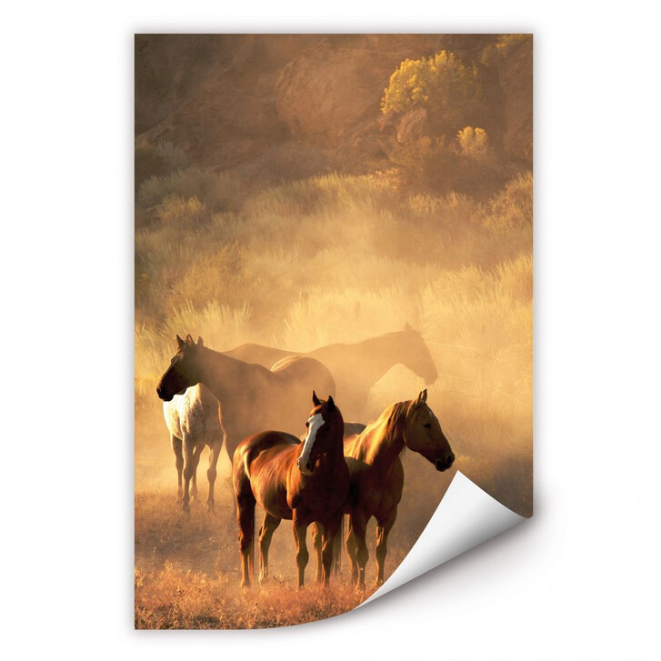 Wallprint Power of Horses - WA188315