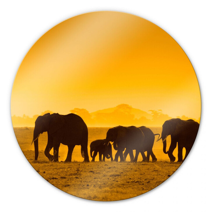 Glasbild Elefantensilhouetten - rund - WA122557
