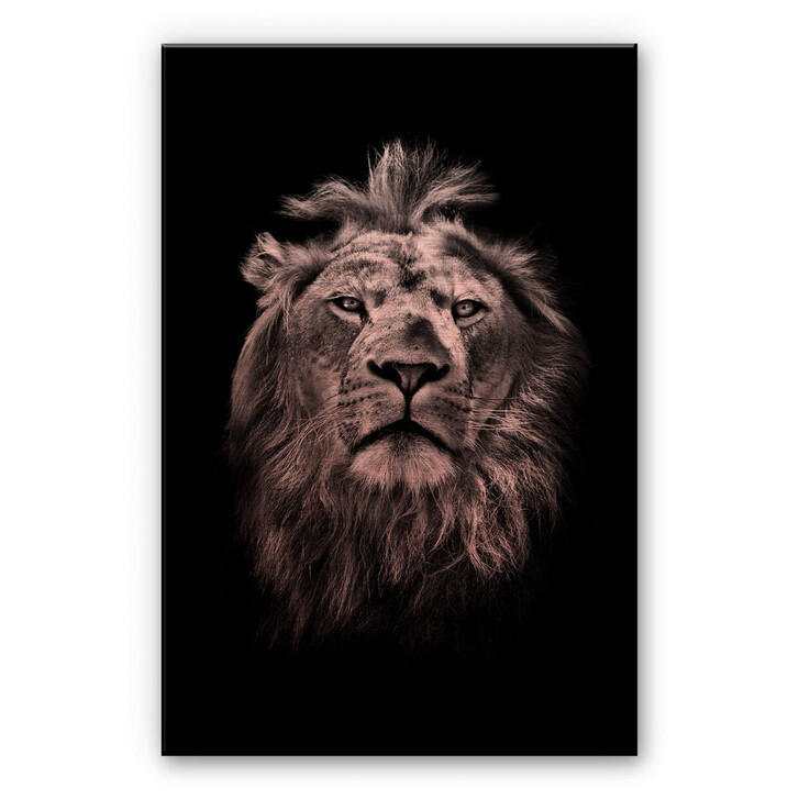 Alu-Dibond Bild mit Kupfereffekt Lion - WA252120