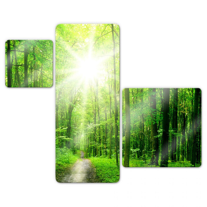 Glasbild Sunny Forest Variation (3-teilig) - WA128072