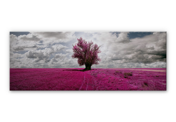 Alu-Dibond Bild The Lonely Tree - Panorama - WA112605