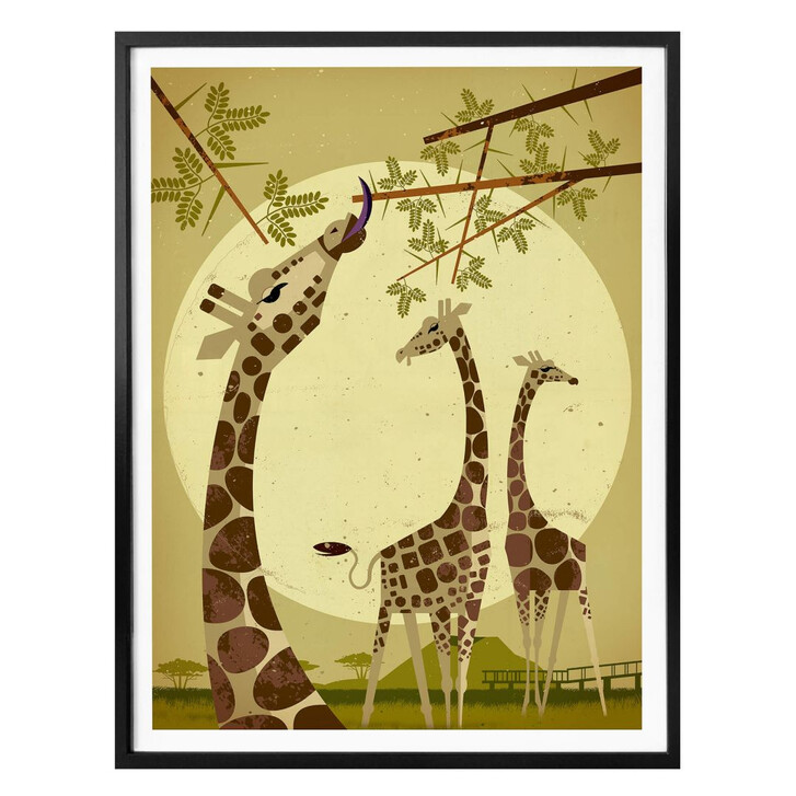 Poster Braun - Giraffes - WA300684
