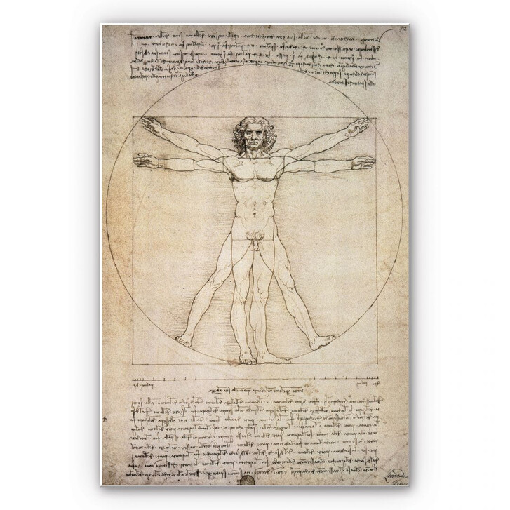 Hartschaumbild Da Vinci - Proportionszeichnung - WA129785