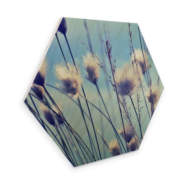 Hexagon - Holz Birke-Furnier Delgado - Wind im Gras - WA273780
