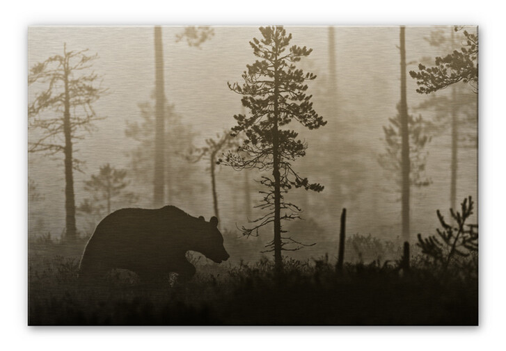 Alu-Dibond Bild Ove Linde - Nebel am Morgen - WA112917