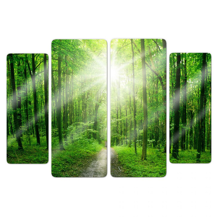 Glasbild Sunny Forest (4-teilig) - WA128063