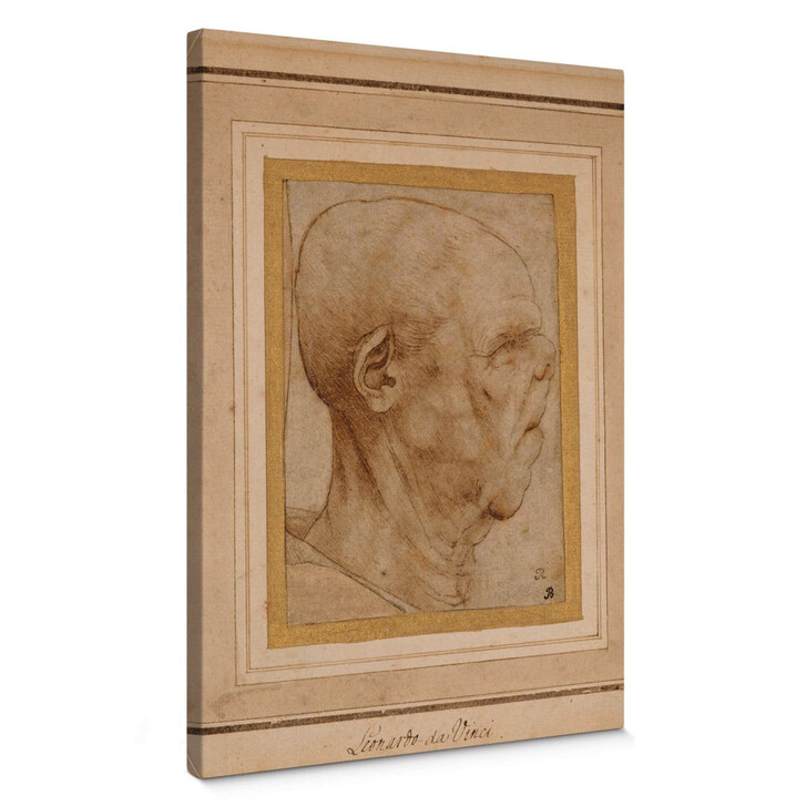 Leinwandbild da Vinci - Karikatur eines Männerkopfes im Profil - WA147105