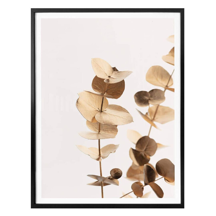Poster 1X Studio - Goldener Eukalyptus - WA322530