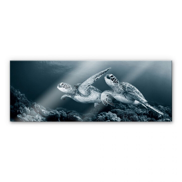 Acrylglasbild Narchuk - Zwei Schildkröten auf Reisen - WA110010