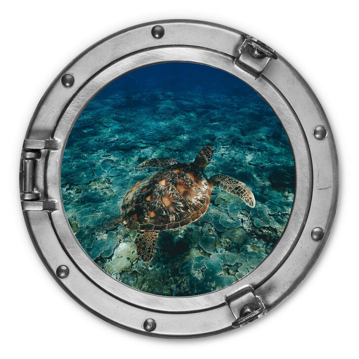 Alu-Dibond 3D Optik - Schildkröte von oben - Rund - WA308191