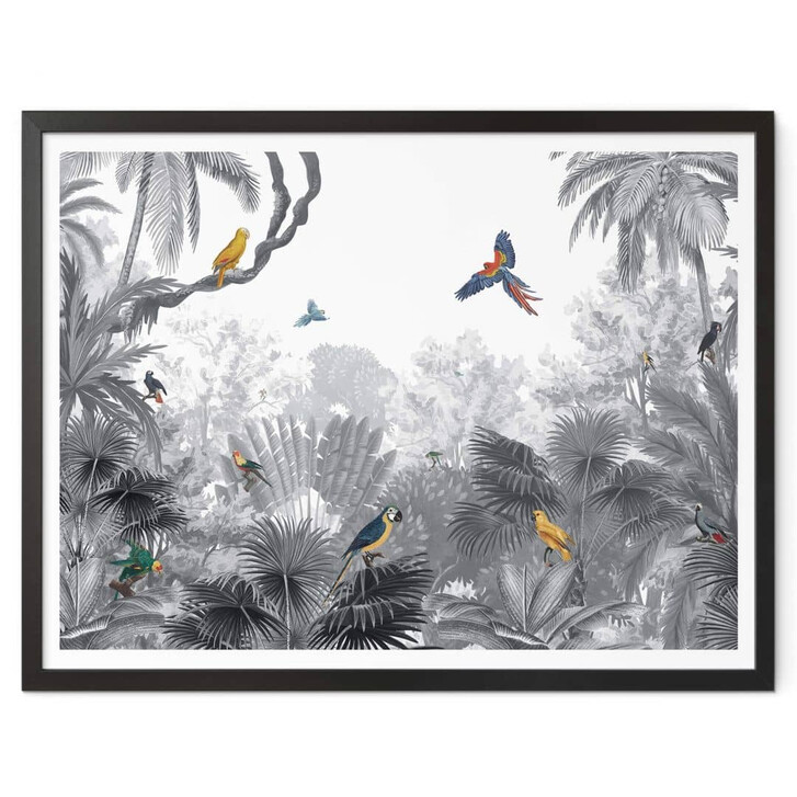 Poster Kikki Belle - Tropische Vögel schwarz-weiss - WA355417