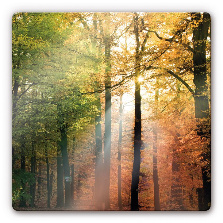 Glasbild Goldener Herbst - WA123381
