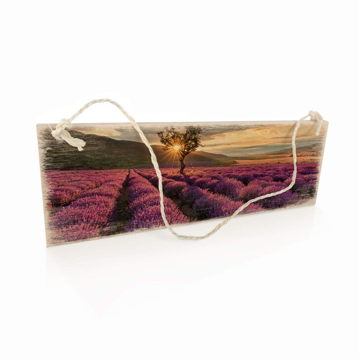 Holzschild Lavendelblüte in der Provence - WA295763