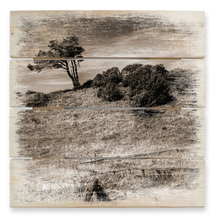 Holzbild Landschaft auf Hiddensee - WA132168
