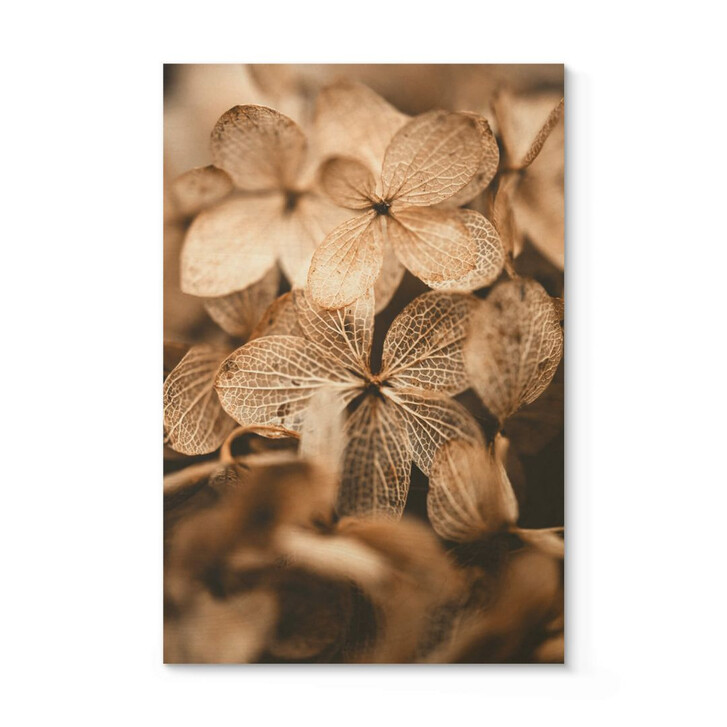 Holzposter Annie - Zarte Blüten - WA316242