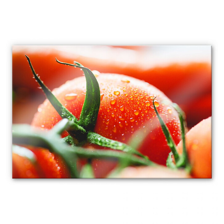 Acrylglasbild Fresh Tomato - WA108483