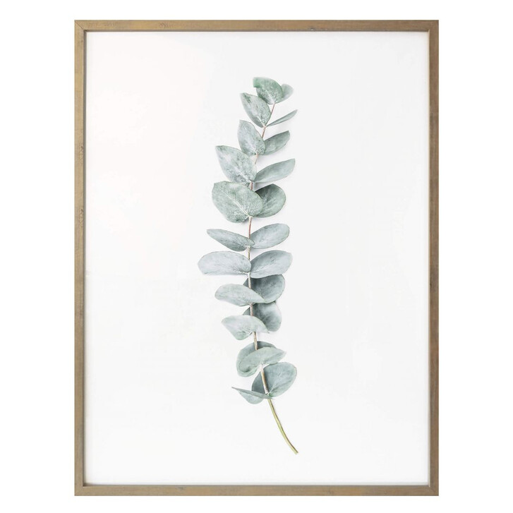 Poster Sisi & Seb - Eukalyptus: Ein Zweig - WA258960