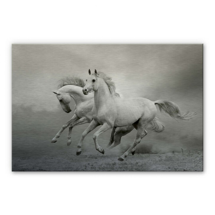 Alu-Dibond Bild Pferde im Galopp - WA112495