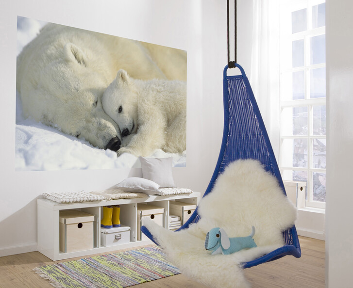 Fototapete Polar Bears - KO1-605