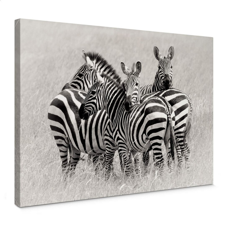 Leinwandbild Trubitsyn - Zebras in der Savanne - WA146216