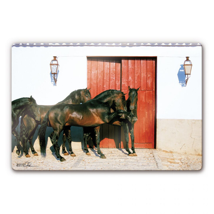 Glasbild Boiselle - Andalusierhengste in Spanien - WA121304