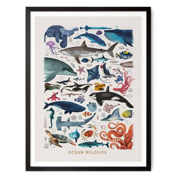 Poster Braun - Ocean Wildlife - WA337028