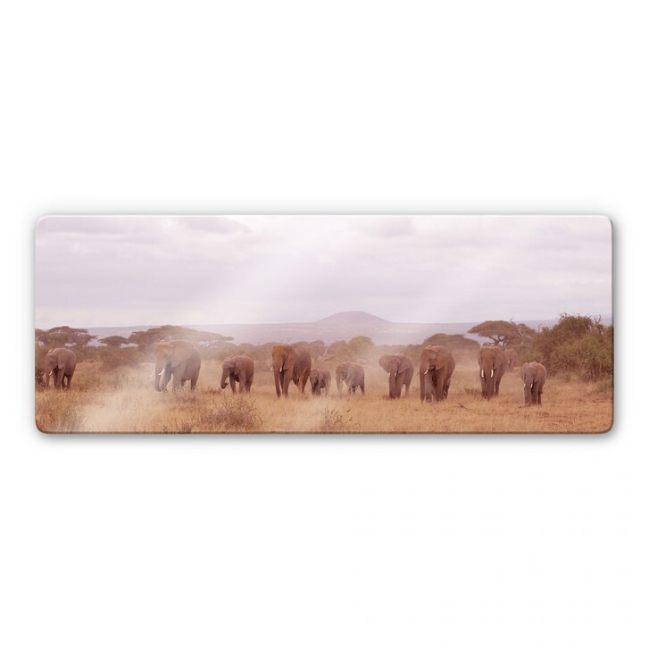 Glasbild Elefantenherde Panorama - WA122551