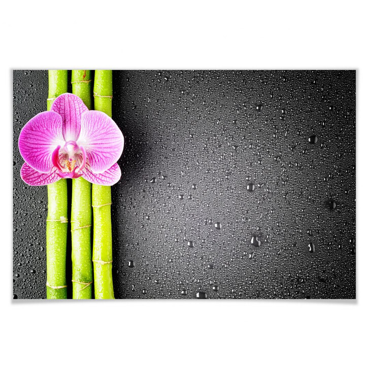 Poster Orchid and Bamboo - WA165217