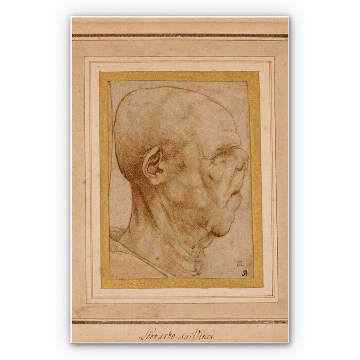 Hartschaumbild Da Vinci - Karrikatur eines Männerkopfes - WA129777