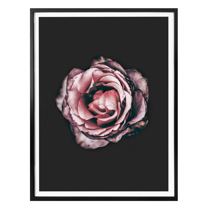Premiumposter Pink Flower Dream 02 - WA240246