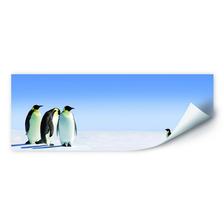 Wallprint Penguin - Panorama - WA188086
