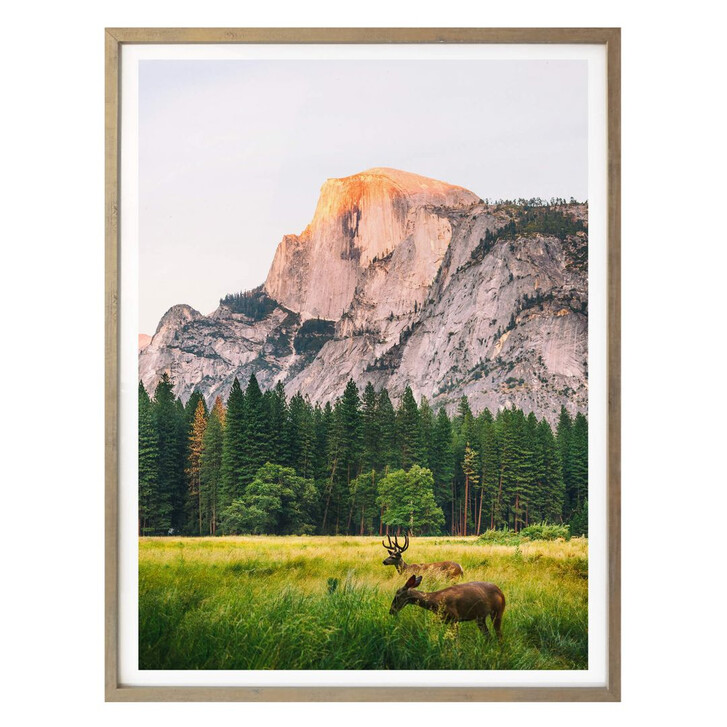 Poster Deers in the Mountains - WA159393