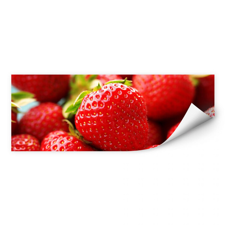 Wallprint Erdbeeren aus dem Garten - Panorama - WA183505