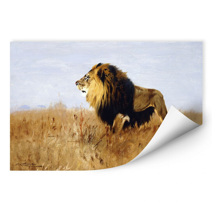 Wallprint Kuhnert - Löwe auf der Suche nach Beute - WA185226