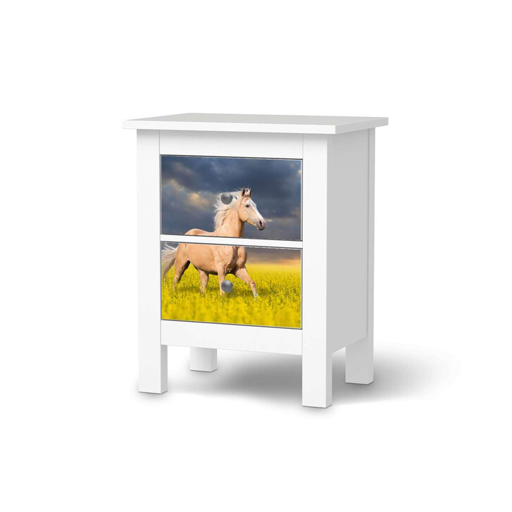 Möbelfolie IKEA Hemnes Kommode 2 Schubladen - Wildpferd - CR118239